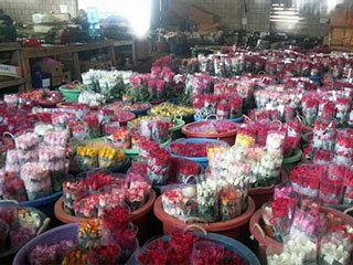 flores de corte